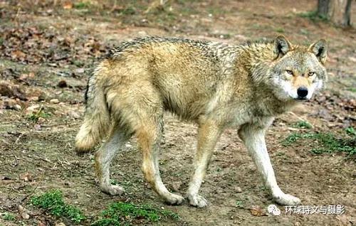 1610530229213406.jpg 微信图片_20210113163946.jpg