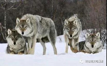 1610530438100935.jpg 微信图片_20210113164004.jpg