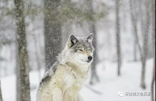 1610531404539707.jpg 微信图片_20210113164040.jpg