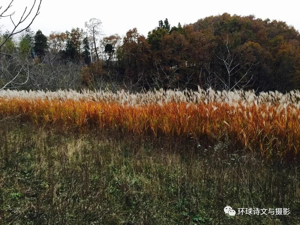 1614237421114057.jpg 图片17.jpg