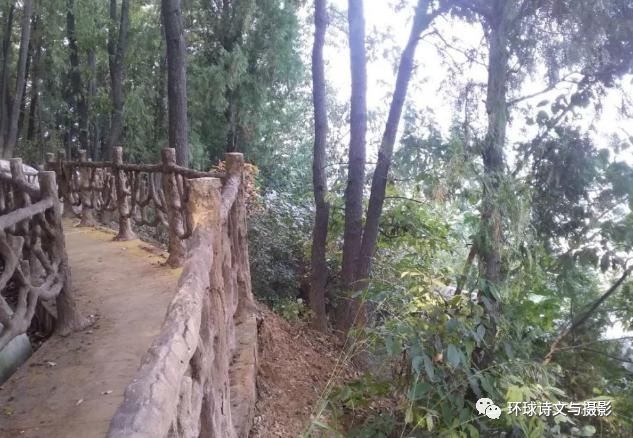 1614237860148538.jpg 图片22.jpg