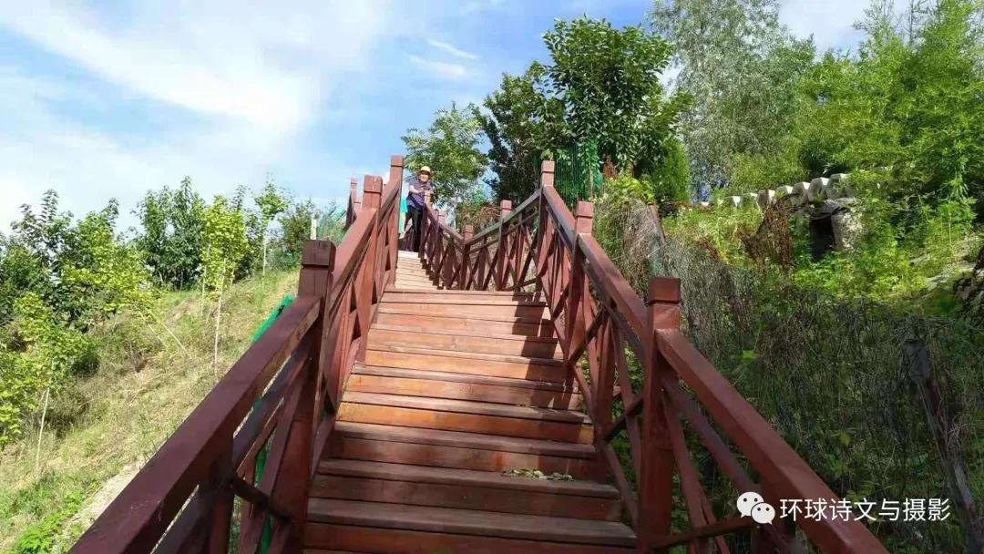 1614238000148981.jpg 图片23.jpg