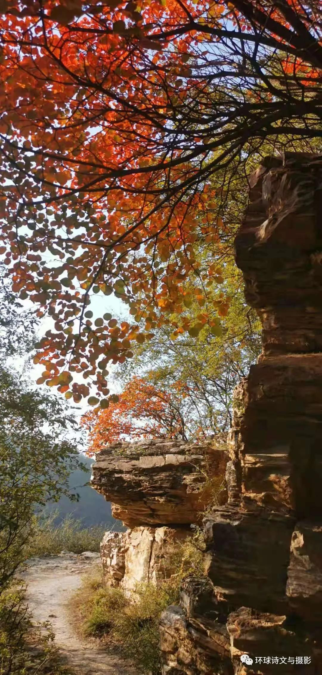 1614238245682815.png 图片27.png