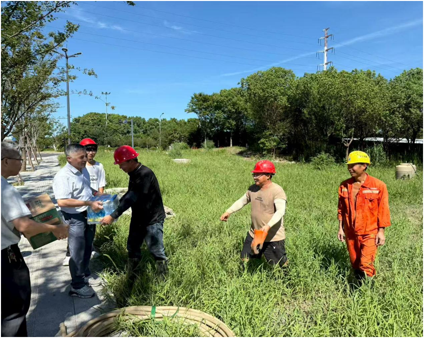 生产建设忙 暑热送清凉