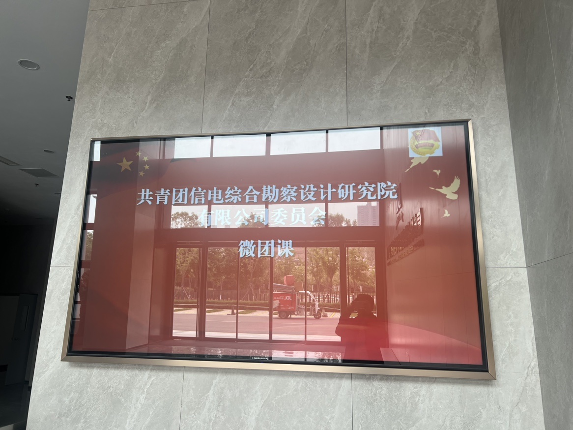 凝聚青春力量 守护国家安全 ——公司团委开展主题团日活动周